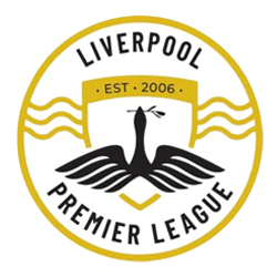 Friday Night Youth Division League 1 logo